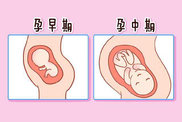上海第一人民医院试管婴儿可以做双胞胎