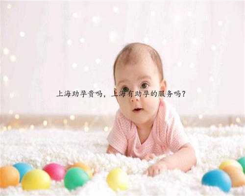 上海助孕贵吗，上海有助孕的服务吗？