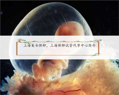 上海美女供卵，上海供卵试管代孕中心简介