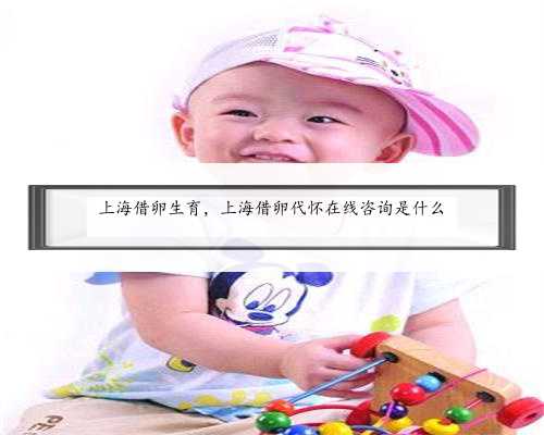 上海借卵生育，上海借卵代怀在线咨询是什么