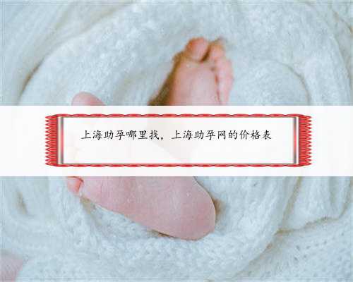 上海助孕哪里找，上海助孕网的价格表