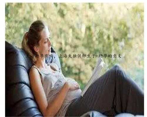 上海助孕有吗，上海失独供卵生子-助孕的意义
