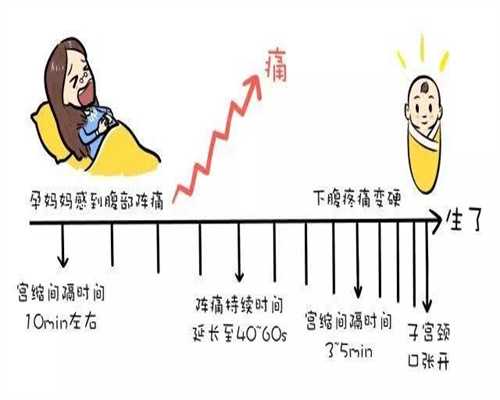 做广州代孕一共需要多少钱,试管婴儿促排卵期间