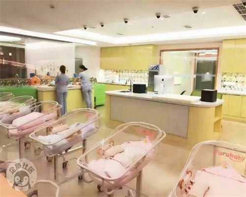 医院可以借卵子生子的费用-代孕费用是多少钱