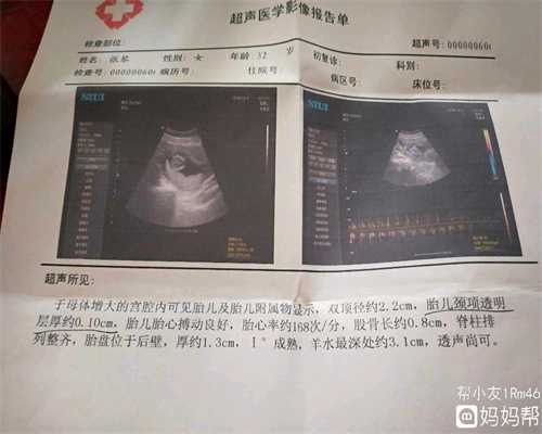 上海代生孩子可靠吗-代怀孕产后食谱--高汤水饺