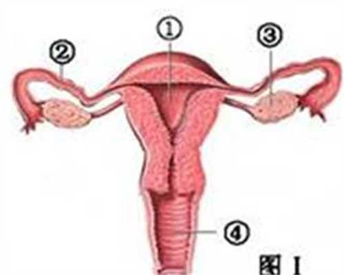上海有想代孕的女人吗-上海代孕女孩qq群【代孕