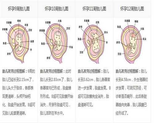上海代孕_上海南方代孕网_上海2020年代孕价格