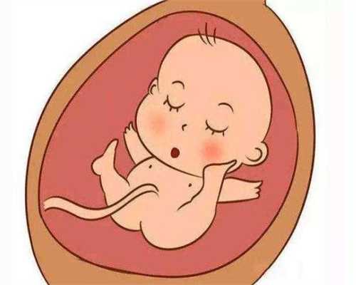找上海代妈怎么联系_上海代孕哪家好_女人刚怀孕要注意什么 控制饮食和体重很
