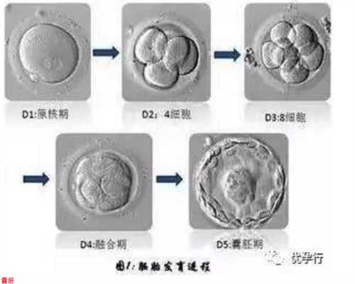 上海供卵代孕生男孩-准妈别担心 正常B超检查对胎儿无害