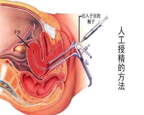 上海代怀孕谁做过_上海代怀孕收费多少_上海想找个代怀孕的女人