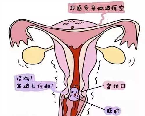 上海代孕-上海代孕生双胞胎-上海找女人代孕电话