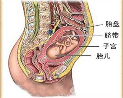 上海助孕是怎麼回事-上海哪里有助孕公司吗-上海合法代孕