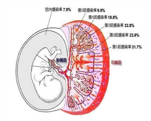 上海专业代孕-上海有谁愿意代孕-上海代孕的孩子性格随谁