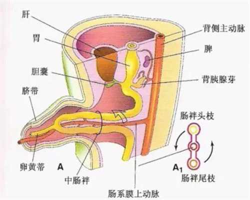 上海代孕生男孩费用多少,六大健康隐患影响生育能力_备孕,早期-亲润官方网站
