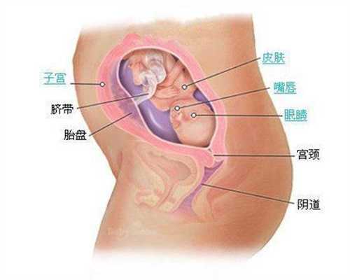 上海代孕医院哪家好_女子怀孕11次没保住,医生-和老公有关!生育前这事真不该碰