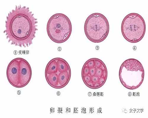 上海代孕机构-上海代孕包生吗-代孕妇一般几个月闹口