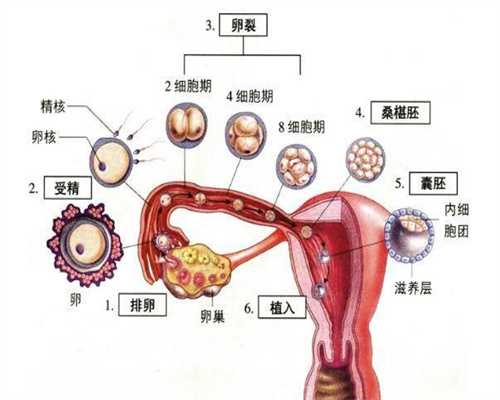 上海代母-上海代孕合同的效力【2020年上海代孕网年度口碑】