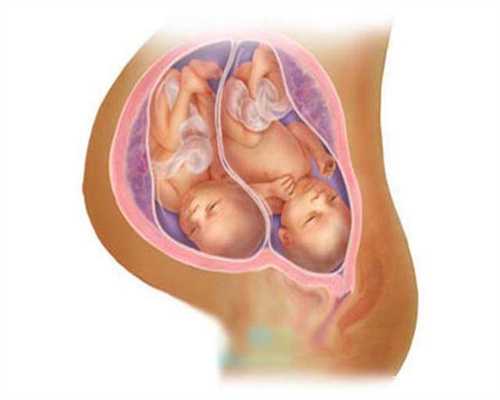 代孕网-代孕生小孩要多少钱-胎儿发育1到9月的过程