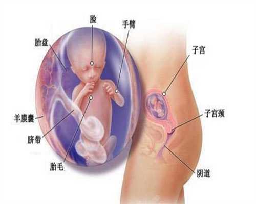 上海最新怀孕套餐-代孕妇怀男孩有哪些特征