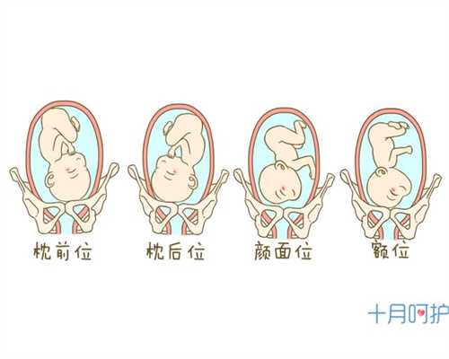 上海借卵子生的小孩会像谁,上海代生全包多少钱