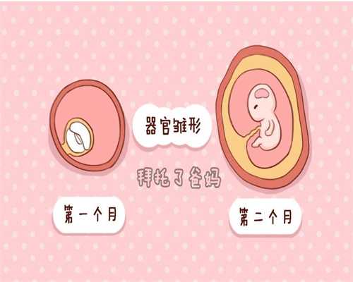 供卵试管生男孩哪里好,国内助孕机构&上海供卵试管生男孩可以吗？哪里比较好