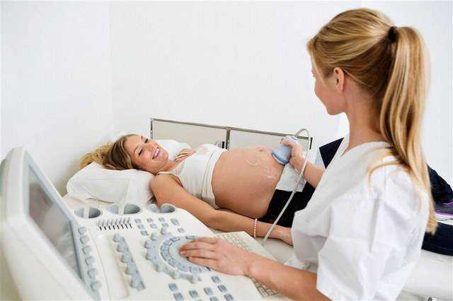 供精试管婴儿的流程及费用,俄罗斯供精试管婴儿流程请收好!