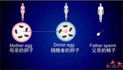 2022年在天津市做供卵试管多少钱