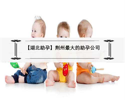 【湖北助孕】荆州最大的助孕公司
